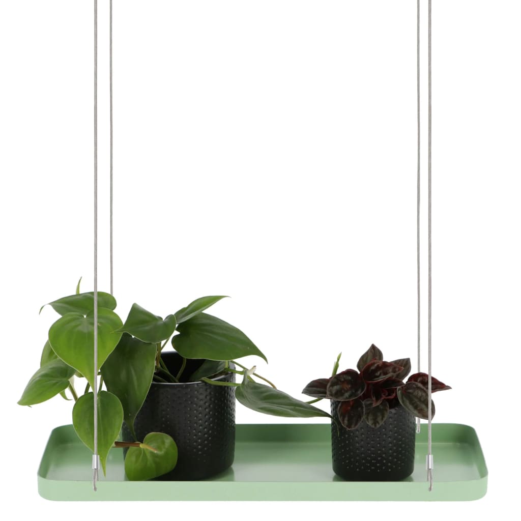 Plateau suspendu pour plantes Rectangulaire Vert S