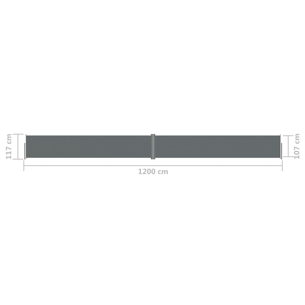 Auvent latéral rétractable Anthracite 117x1200 cm